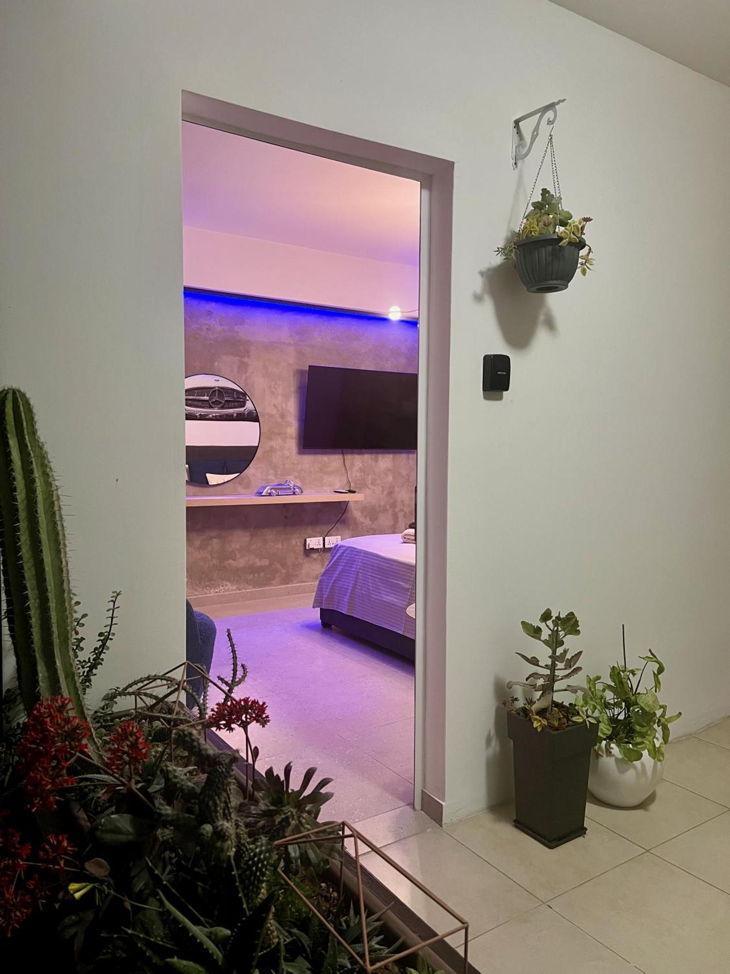 Fat Cow Apartments Larnaca Dış mekan fotoğraf